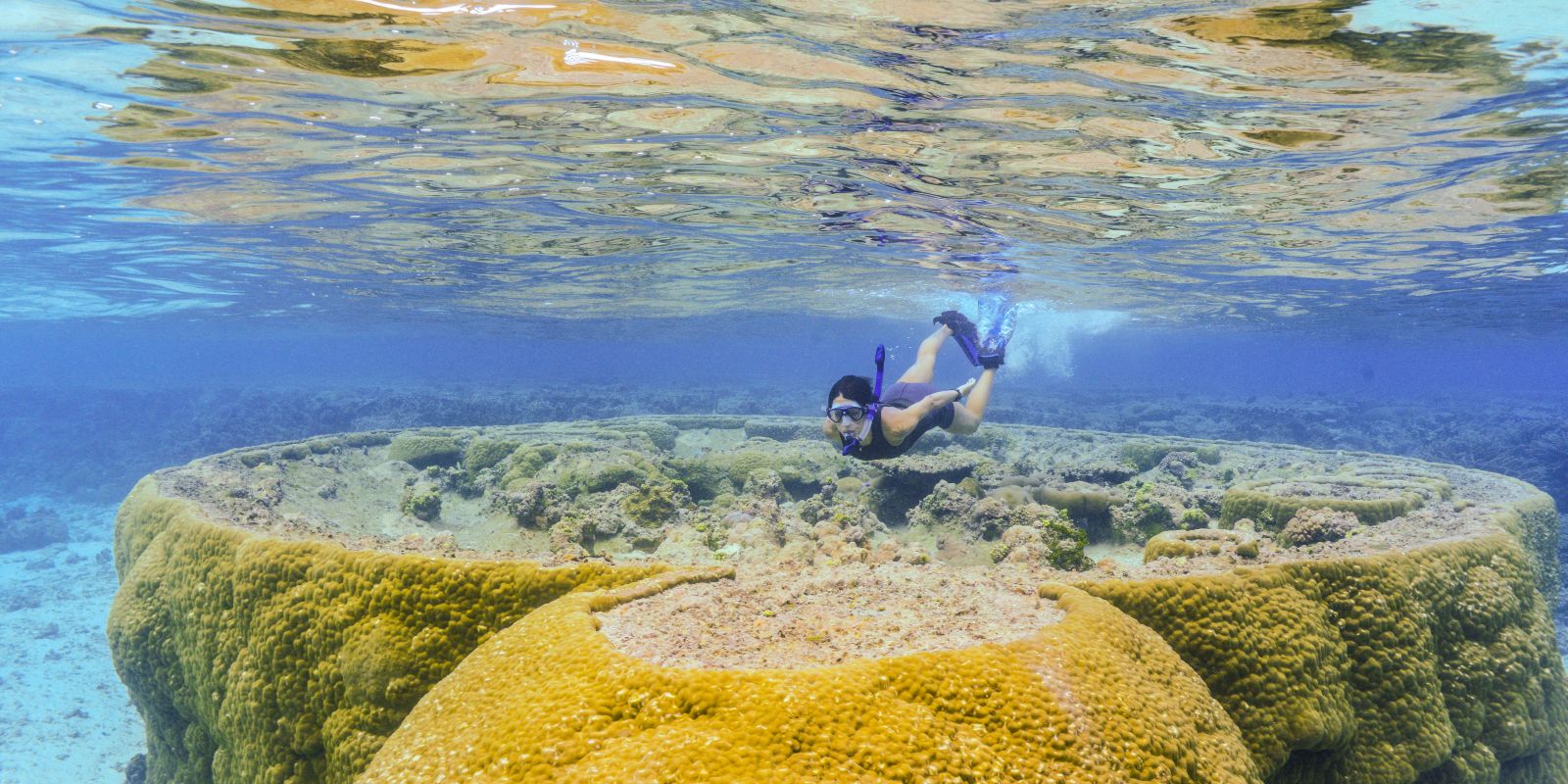 Chaminade News Chaminade University Chaminade University of Honolulu