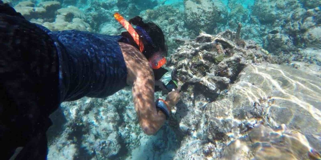 Nicole Yamase '14 (BS Environmental Studies, BS Biology) doing field work
