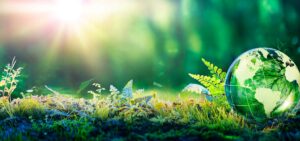 Globe Glass In Green Forest With Sunlight
