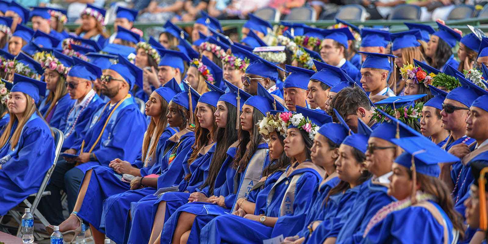Alumni Relations Chaminade University Of Honolulu