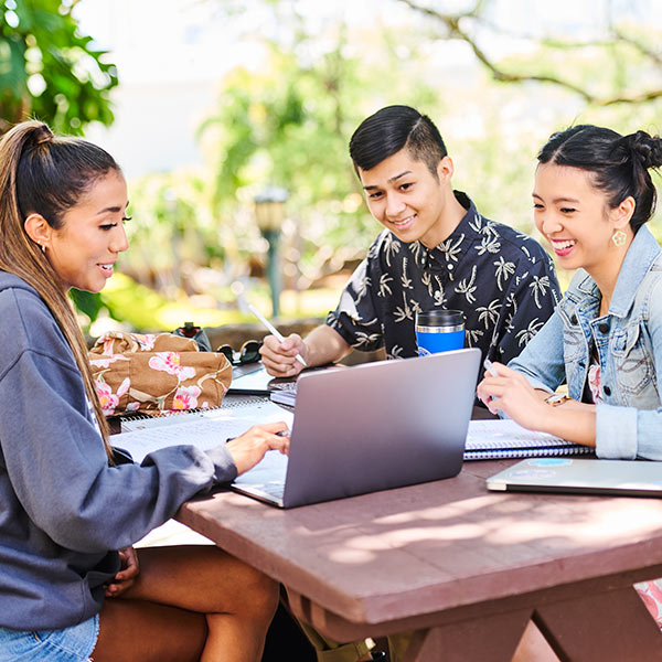 students studying together