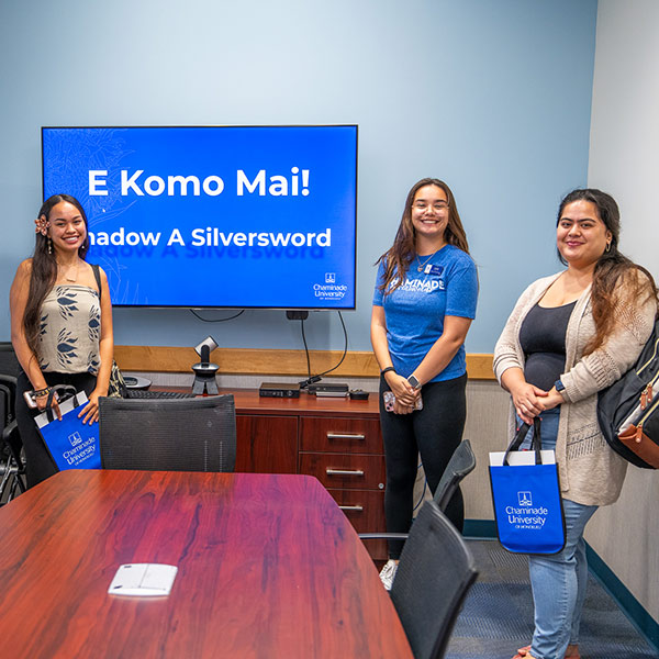 shadow a silversword