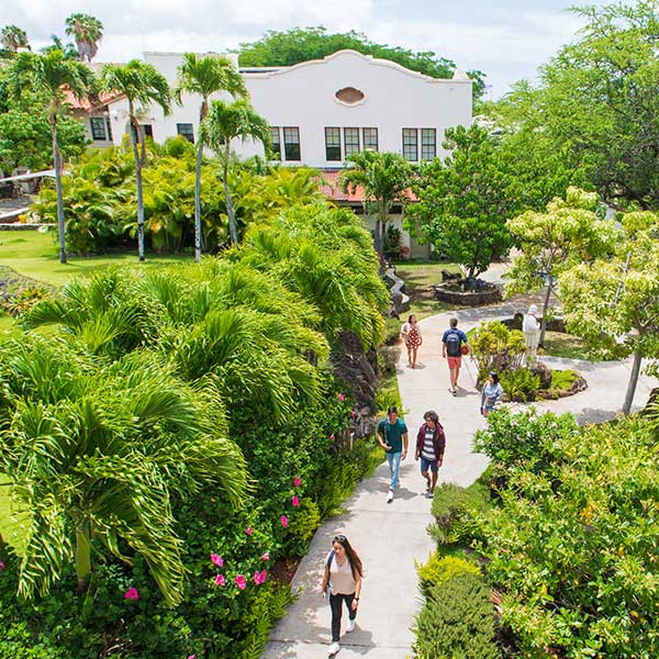 students walking on campus